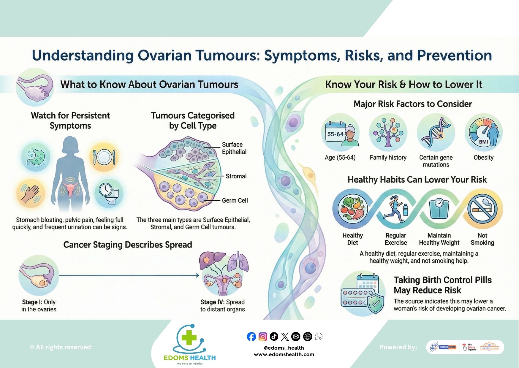Understanding Ovarian Tumors: Symptoms, Risks, and Prevention